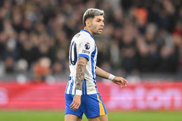 森林狼全队 森林狼全队