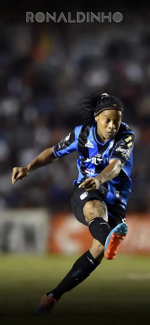 辽宁飞豹的 辽宁飞豹的